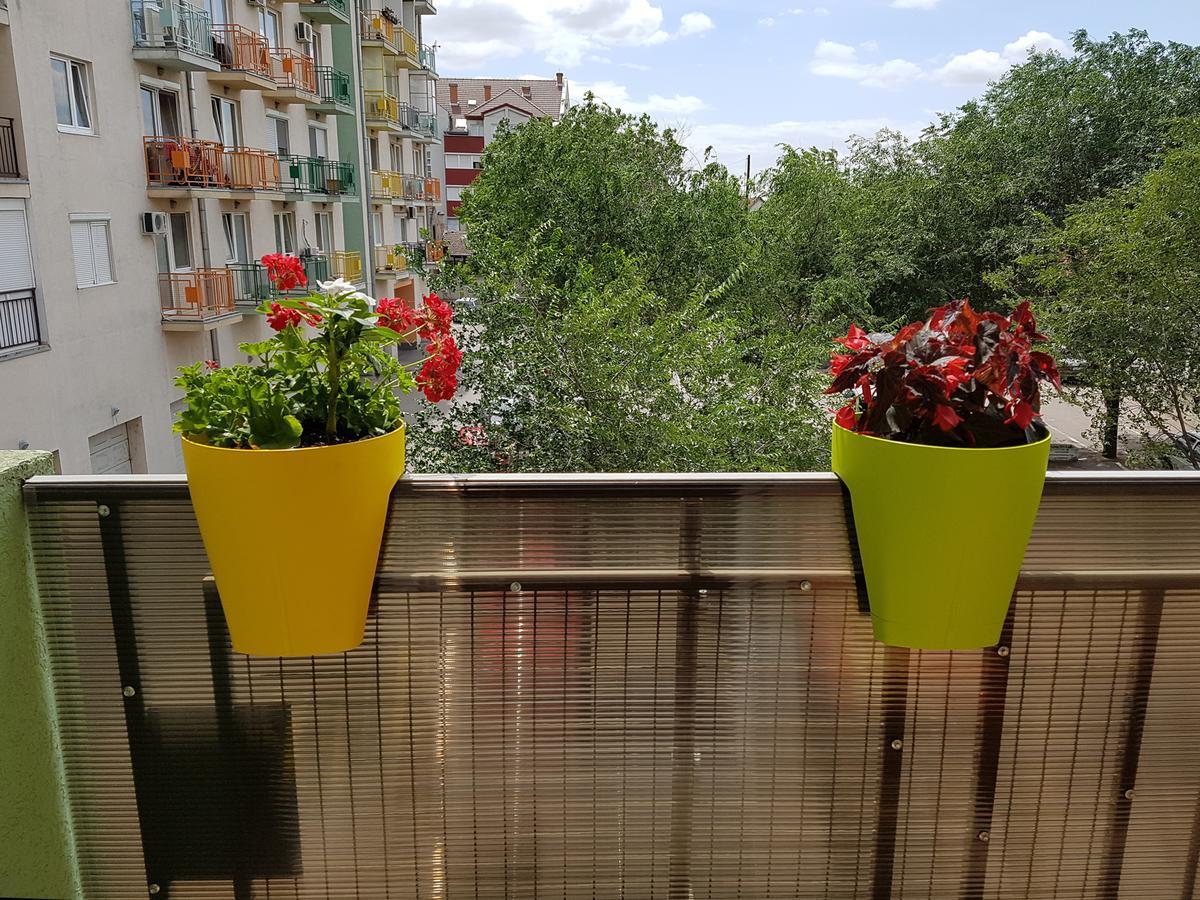 Apartman Boska سوبوتيتْسا المظهر الخارجي الصورة